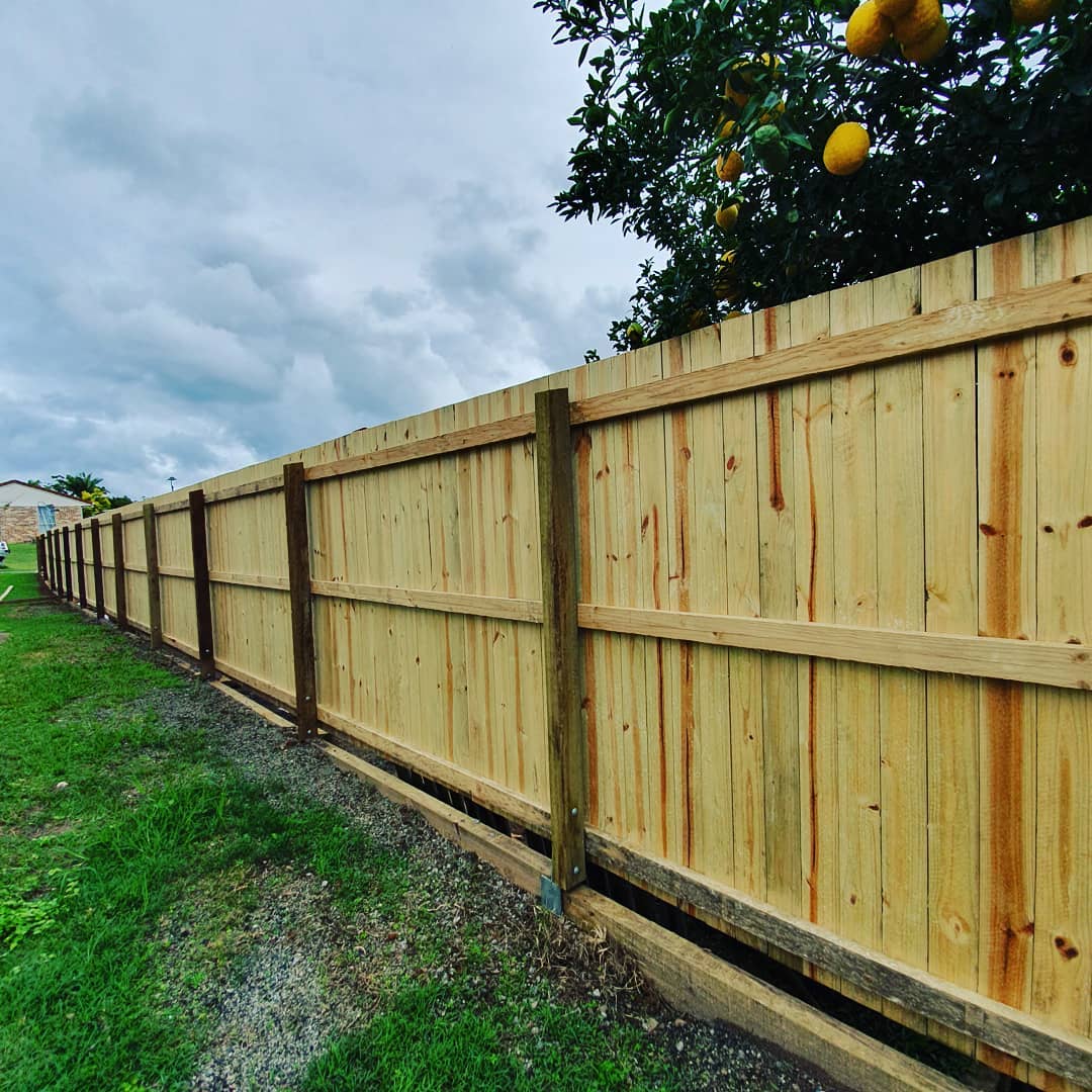 A timber fence with a lime tree hanging over
