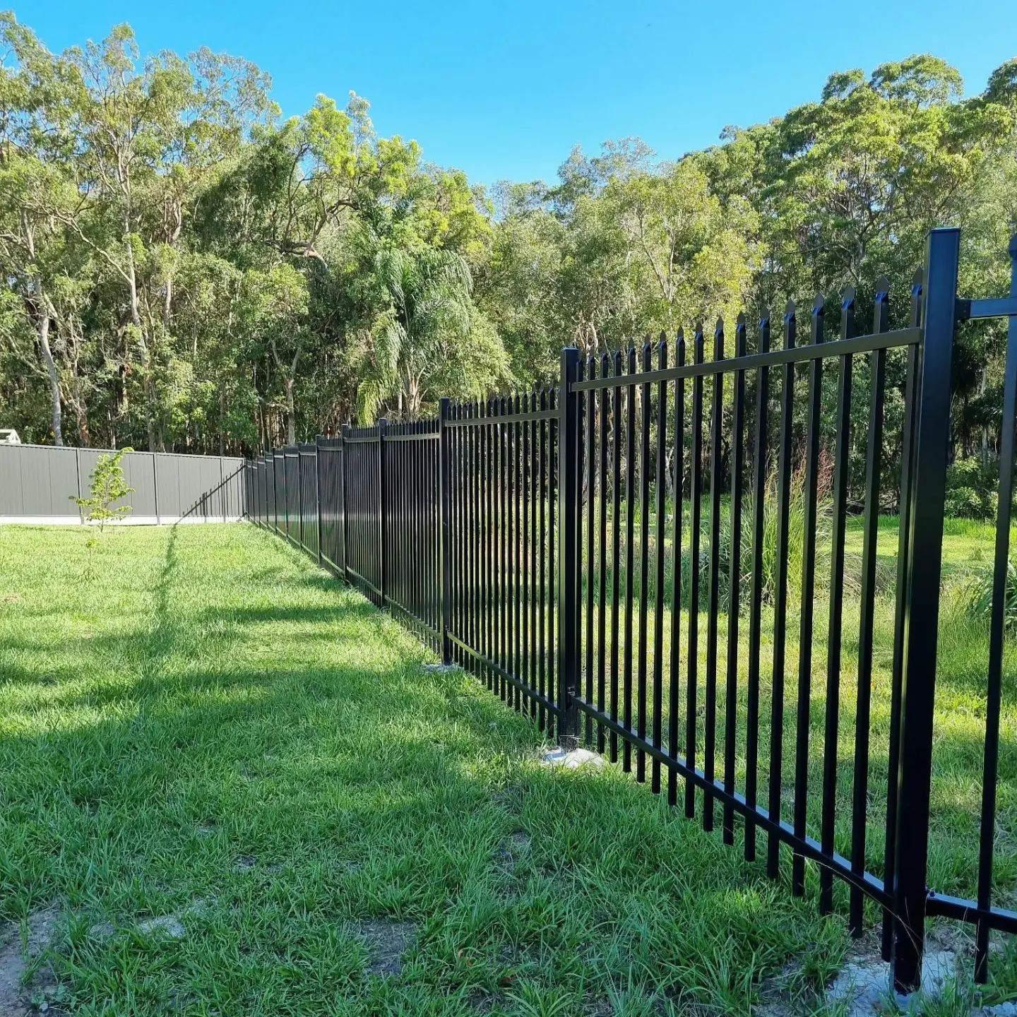 Black hercules fencing in a back yard