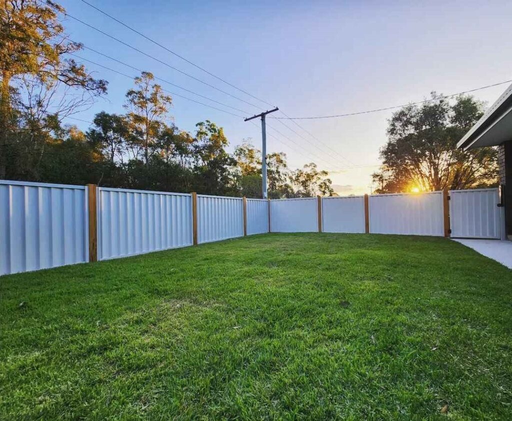 White colorbond fence and green lawn